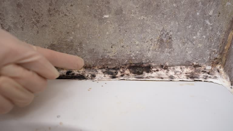 Asbestos and Lead Testing During Mold Inspection